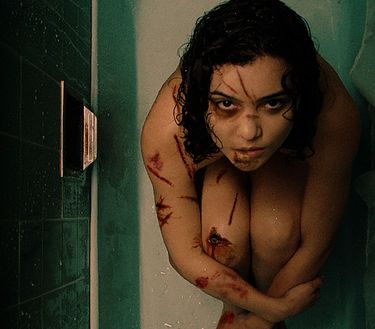 Trailer - The Free Fall