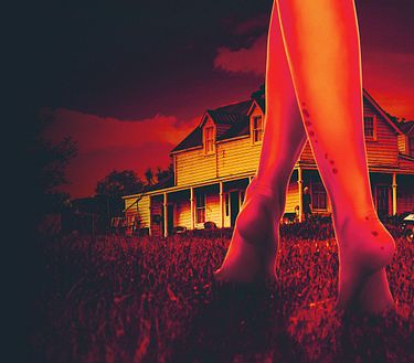 X - A Sexy Horror Story