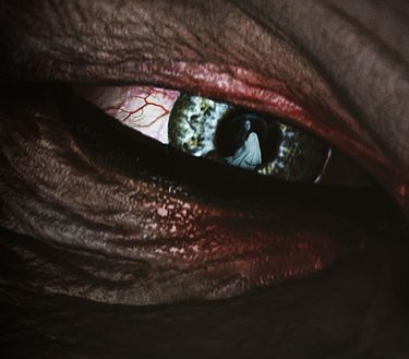 Dracula 3D