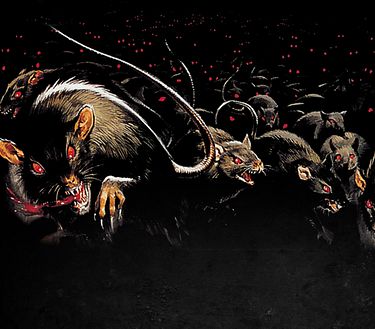 Rats - Notte di terrore