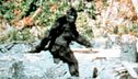 ep.15 - La leggenda del Bigfoot
