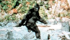 ep.15 - La leggenda del Bigfoot