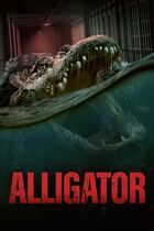 Alligator