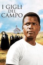 I gigli del campo