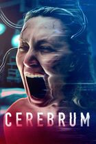 Cerebrum