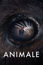 Animale