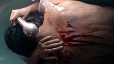 Trailer - Animale