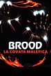 Trailer - Brood - La covata malefica