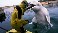 ep.4 - Strani attacchi