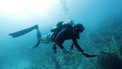 ep.4 - Missioni rischiose