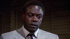 Ep. 2 - Animali travolti