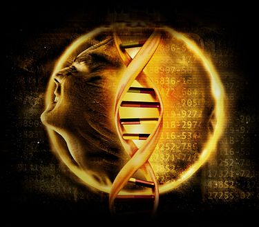 Ep. 14 - L'origine della specie