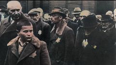 ep.2 - Gli esperimenti di Auschwitz