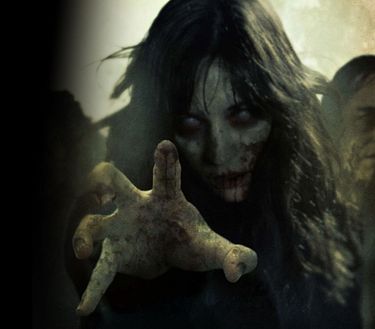Survival of the dead - L'isola dei sopravvissuti