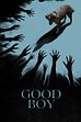 Trailer - Good Boy