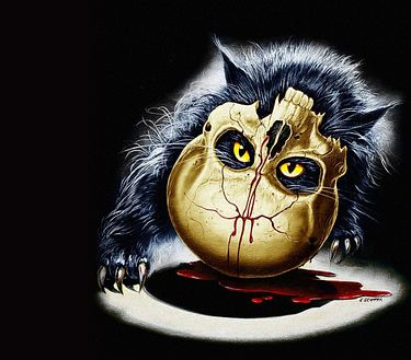 Un gatto nel cervello