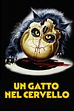 Trailer - Un gatto nel cervello