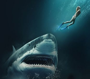 Into the deep