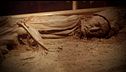 ep.14 - Misteriose scoperte