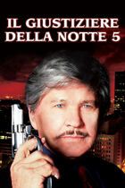 Il giustiziere della notte 5