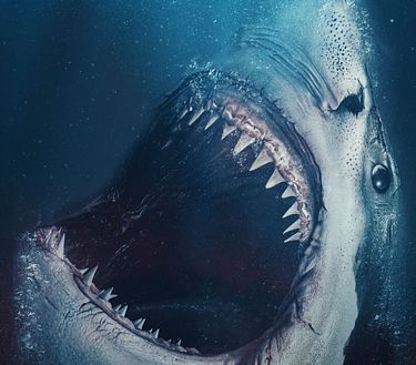 Sharks - Incubo dagli abissi