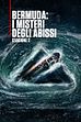 ep.8 - Il mistero del Saba Bank