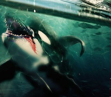 Killer Whale: la furia degli abissi
