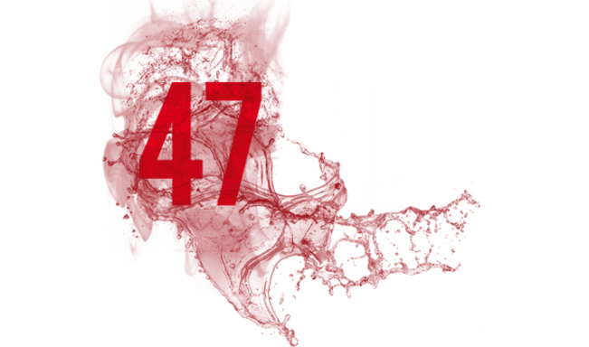 47 Metri - Film Mediaset Infinity