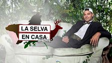 La selva en casa