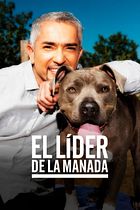 El líder de la manada