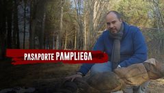 Pasaporte Pampliega