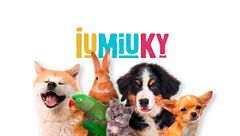Iumiuky