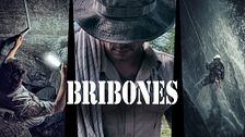 Bribones