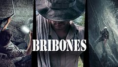Bribones