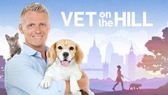 Veterinario en la ciudad