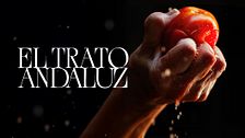 El Trato Andaluz