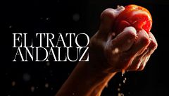 El Trato Andaluz