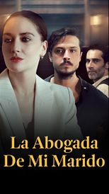 La abogada de mi marido
