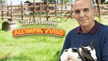 Tutti insieme all'improvviso