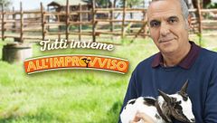 Tutti insieme all'improvviso