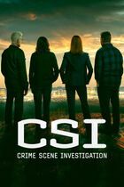 C.S.I. Scena del crimine