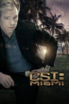 C.S.I. Miami