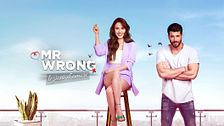 Mr Wrong - Lezioni d'amore