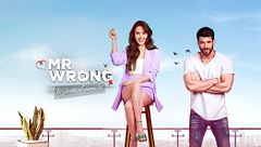 Mr Wrong - Lezioni d'amore
