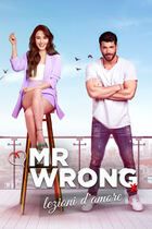 Mr Wrong - Lezioni d'amore