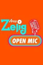 Zelig Open Mic