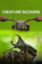 Creature bizzarre