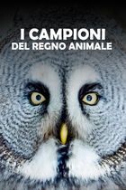 I campioni del regno animale