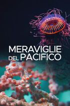 Meraviglie del pacifico