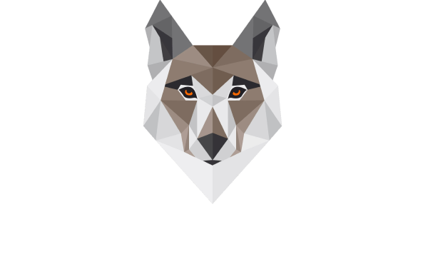 Espíritu Salvaje T01 logo